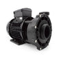 LX WP200-ll Pump - 2HP 2Speed (WP200-ll)
