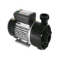 LX WTC200-AB Pump - 2HP 1Speed 50Hz 2.5m x 2.5m for Blue Whale/Storm Force 9 (WTC200-AB)